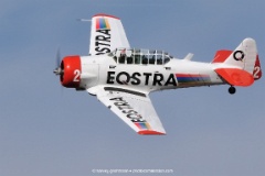 Harvard Beauty  The Trainer : Zwartkop, AFB, Flight, harvard